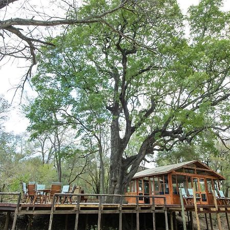 Ndzhaka Tented Camp Manyeleti Game Reserve Exterior foto