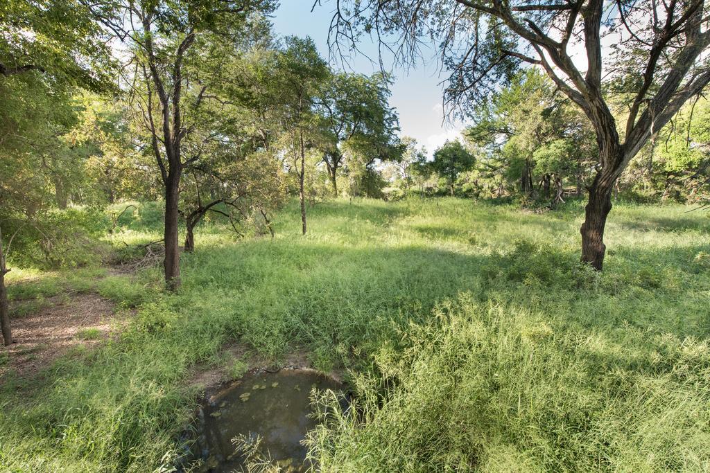 Ndzhaka Tented Camp Manyeleti Game Reserve Exterior foto